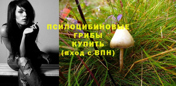 прущий лед Нягань
