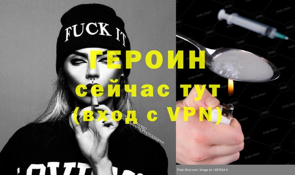 сатива Новокубанск
