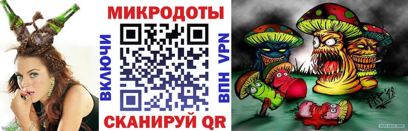 Галлюциногенные грибы Psilocybe  наркошоп  Купино 